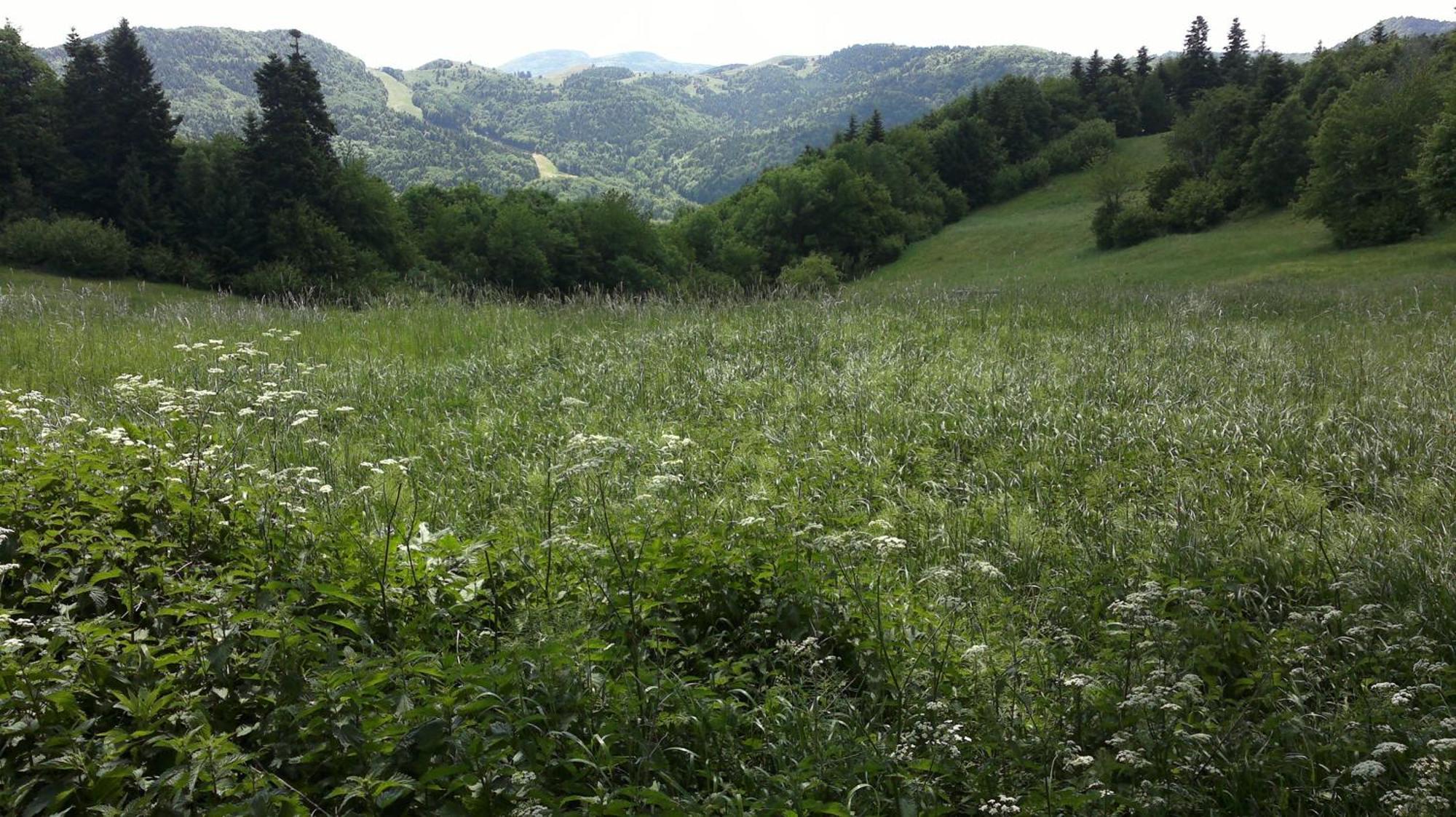 Apartmany Weissov Dom Banská Štiavnica Buitenkant foto